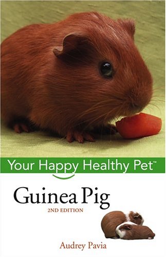 Guinea Pig