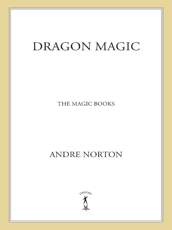 Dragon Magic: The Magic Books #4