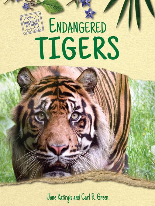 Endangered Tigers