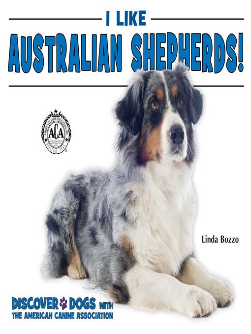 I Like Australian Shepherds!