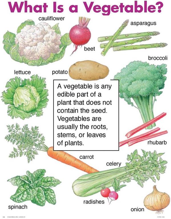 What is a Vegetable? (Cheap Charts)