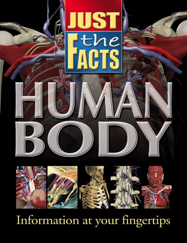 Just The Facts Human Body