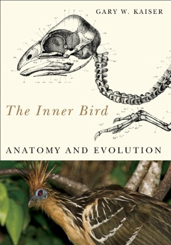Inner Bird : Anatomy and Evolution.