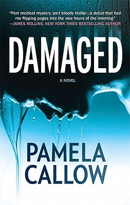 Damaged (A Kate Lange Novel, 1)