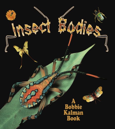 Insect Bodies (World of Insects (Crabtree Publishing Paperback))