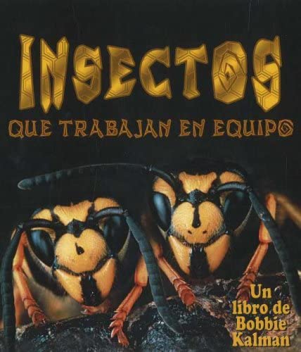 Insectos Que Trabajan en Equipo (Mundo de los Insectos) (Spanish Edition)