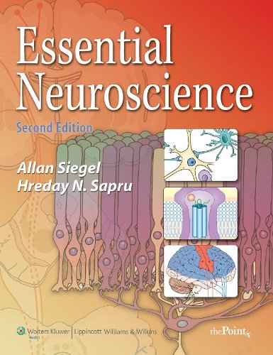 Essential Neuroscience (Point (Lippincott Williams &amp; Wilkins))