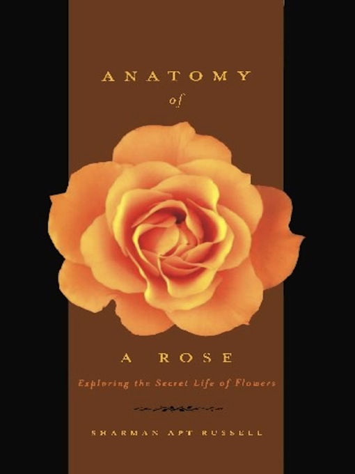 Anatomy of a Rose