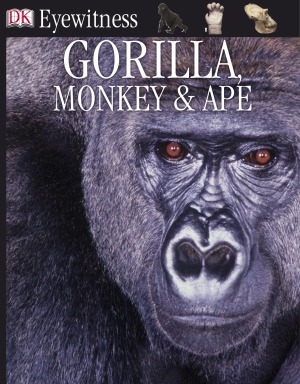 Gorilla, Monkey &amp; Ape