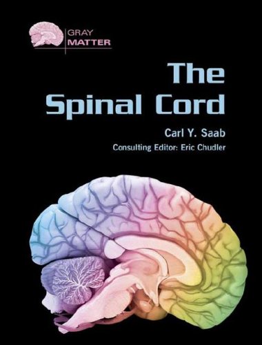 The Spinal Cord