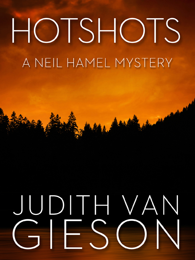 Hotshots : a Neil Hamel mystery