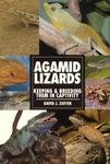 Agamid Lizards