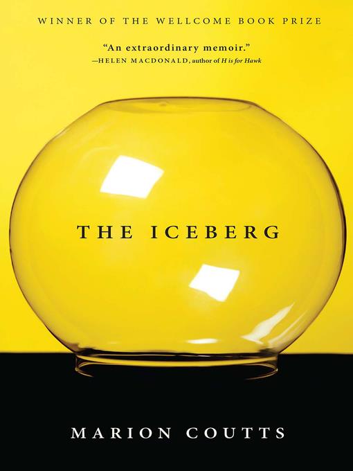 The Iceberg