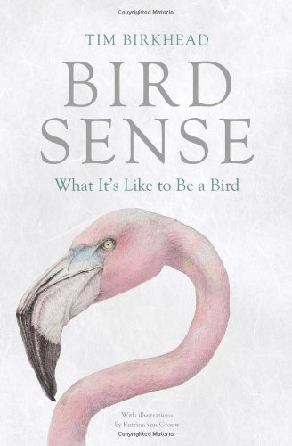 Bird Sense