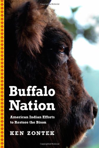 Buffalo nation : American Indian efforts to restore the bison