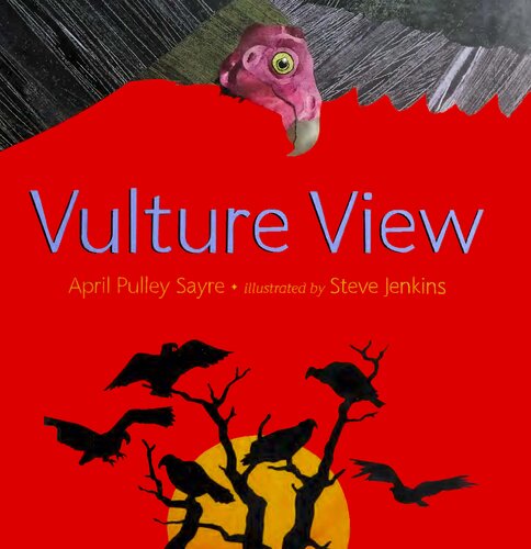 Vulture View