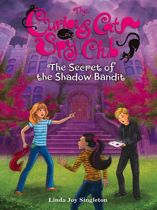 The Secret of the Shadow Bandit