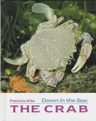 Down in the Sea: The Crab