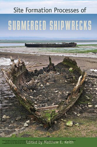 Site Formation Processes of Submerged Shipwrecks