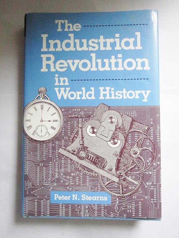 The Industrial Revolution In World History (Essays in World History)