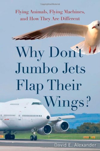 Why Don't Jumbo Jets Flap Their Wings?