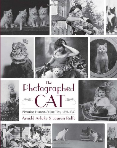 The Photographed Cat