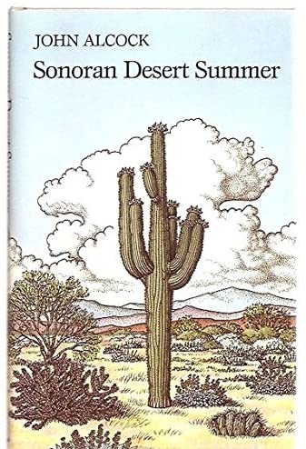 Sonoran Desert Summer