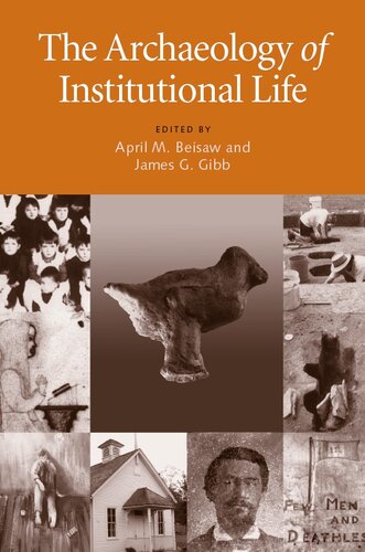 The Archaeology of Institutional Life