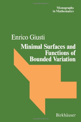 Minimal surfaces and functions of bounded variation