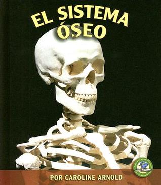 El Sistema Óseo / The Skeletal System