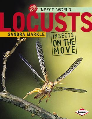 Locusts