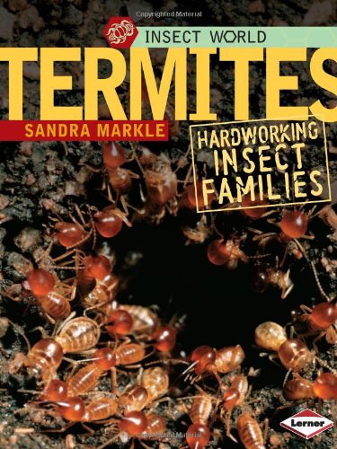 Termites