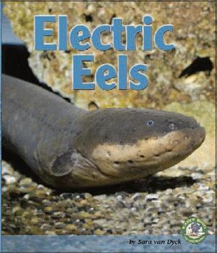 Electric Eels