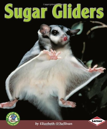 Sugar Gliders