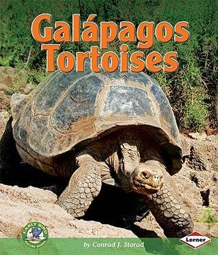 Galapagos Tortoises