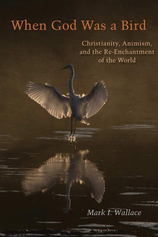 When God Was a Bird: Christianity, Animism, and the Re-Enchantment of the World (Groundworks: Ecological Issues in Philosophy and Theology)