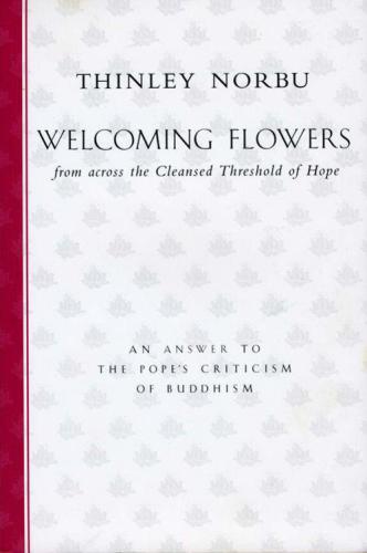 Welcoming flowers from across the cleansed threshold of hope : an answer to Pope John Paul II's criticism of Buddhism