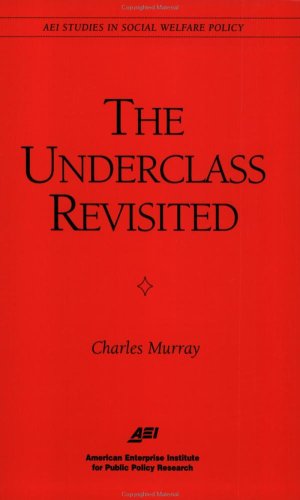 The Underclass Revisited