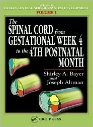 The Spinal Cord from Gestational Week 4 to the 4th Postnatal Month