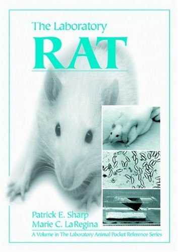 The Laboratory Rat / PlasticComb