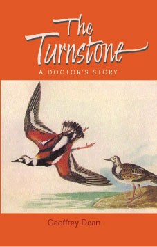 The Turnstone