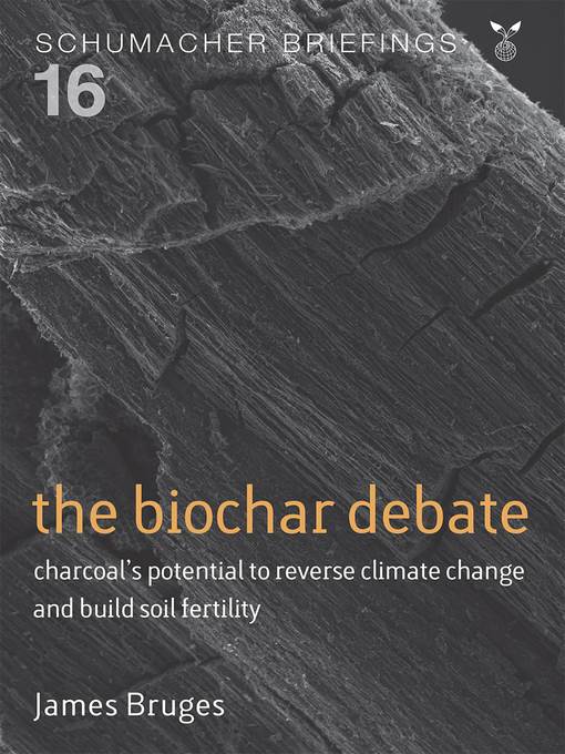 The Biochar Debate