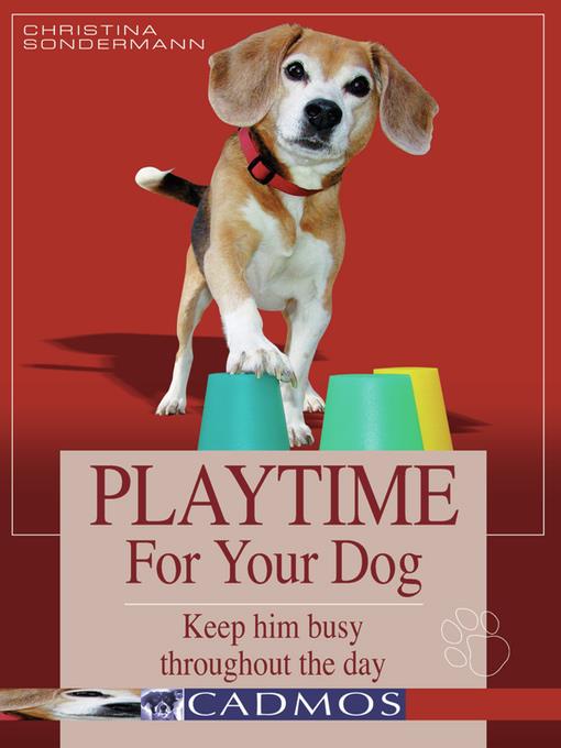 Playtime for Your Dog