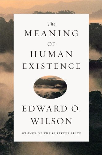 The Meaning of Human Existence