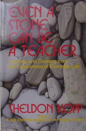 Even a Stone Can Be a Teacher