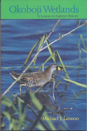 Okoboji Wetlands