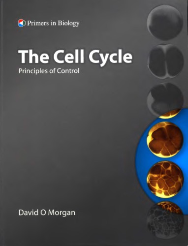 The Cell Cycle