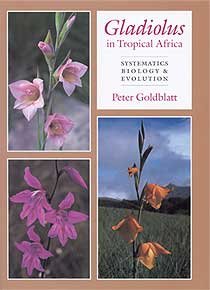 Gladiolus in Tropical Africa