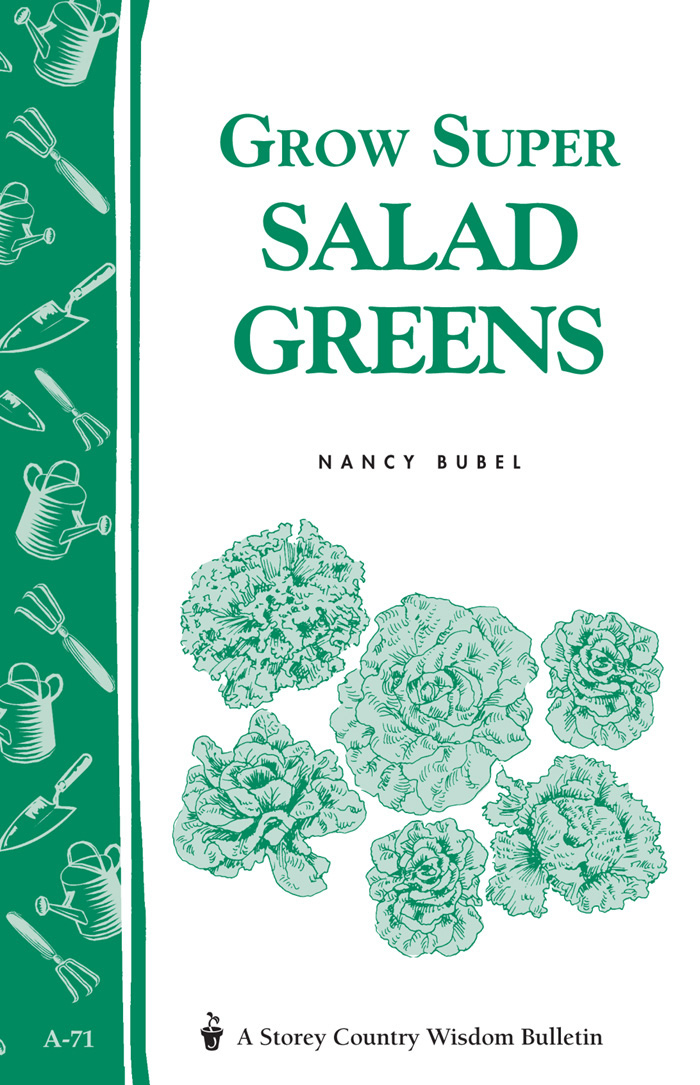 Grow Super Salad Greens