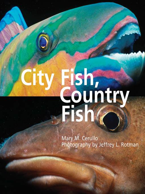 City Fish Country Fish